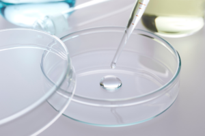 【本質を選ぶ】なぜ「3.5%」なのか。真皮を見据えた大人の効率的選択